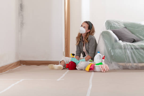 Reliable Mold Inspection contractor in Three Oaks, MI by WQB Mold Removal